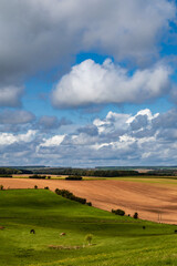 Fototapeta na wymiar Beautiful hilly french countryside landscape, meadow, field, horizon and sky
