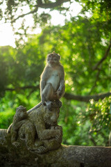 Fototapeta na wymiar A monkey sitting atop a statue in a lush green setting.