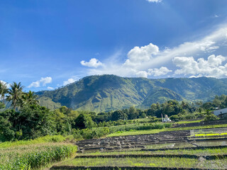 Fototapeta na wymiar The fields and hills against blue sky at Lake Toba, Nort Sumatra. 