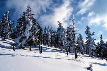 Tourist shelters on a pass in winter in the Giant Mountains, Poland