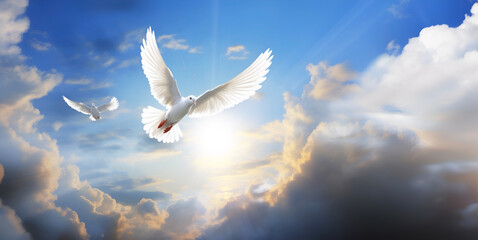 Light sky with white doves as a symbol of peace without war - obrazy, fototapety, plakaty