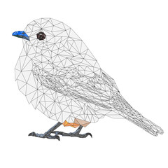 Blue.bird small birds thrush outline low-polygon on a white background   vintage  vector illustration editable hand draw