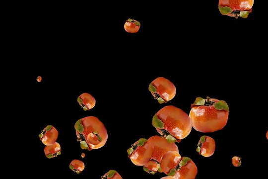 persimmont on transparant background