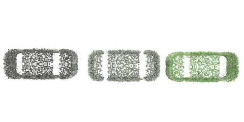 Set of various creeper Moss green plants,isolated on transparent background. 3D render from top view