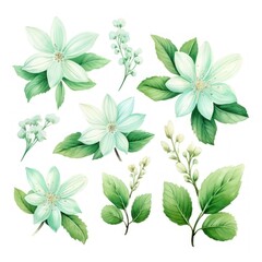 Mint green several pattern flower, sketch, illust, abstract watercolor, flat design