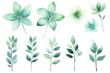 Mint green several pattern flower, sketch, illust, abstract watercolor