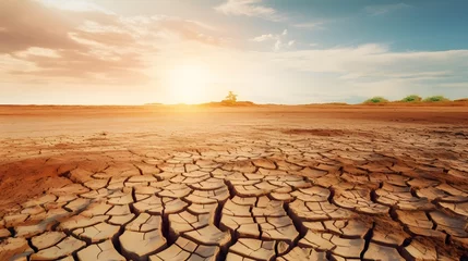 Foto op Plexiglas Climate change and drought land. Water crisis. Arid climate. Crack soil. Nature disaster. Dry soil texture background. Dry, cracked skin, and eczema concept. Global warming cause of polar vortex. © Ziyan