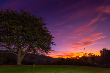 Colorful sky in sunset over mountain with big tree in foreground and copy space. in the north of Thailand. Dramatic sky. 