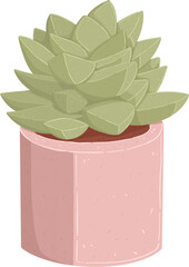 Succulent Cactus Illustration