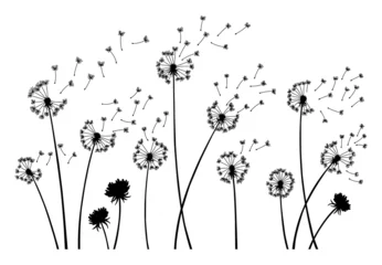 Fotobehang Dandelion wind blow background. Black silhouette with flying dandelion buds on white. Abstract flying seeds. Decorative graphics for printing. Floral scene design © designer_things