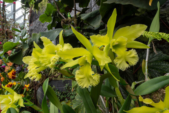 Singapur Gardens by the Bay 