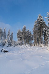 Winter landscape at the mountain called Kahler Asten near the city Winterberg in the morning.