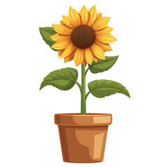 Obraz premium Illustration of sunflower in a pot isolated on transparent background