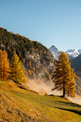 Bergidylle im Farbrausch: Herbstliche Pracht unter freiem Himmel - 722177009