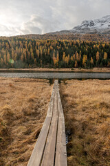 Naturmaler Herbst: Berglandschaft in lebendigen Herbsttönen - 722177089