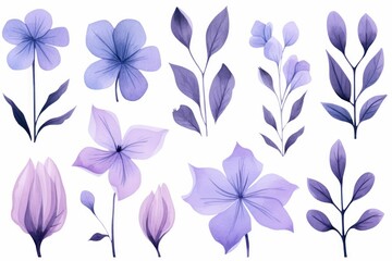 Periwinkle several pattern flower, sketch, illust, abstract watercolor, flat design, white background