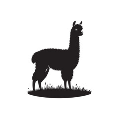 Enigmatic Elegance: Alpaca Silhouette Set Unveiling the Mysterious Beauty of These Charismatic Animals - Alpaca Illustration - Alpaca Vector - Animal Silhouette

