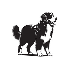 Alpine Majesty: Bernese Mountain Dog Silhouette Series Evoking the Picturesque Beauty of These Dogs in Silhouette Form - Bernese Mountain Dog Illustration - Bernese Mountain Dog Vector
