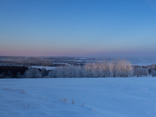 Winter sunset over the tops of frozen trees