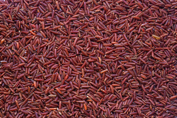 Fototapeta premium Macro black rice seeds,Close up background view of organic black purple rice.