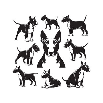 Regal Silhouettes: Bull Terrier Silhouette Displaying the Regal Demeanor and Stately Presence of These Magnificent Dogs - Bull Terrier Illustration - Bull Terrier Vector - Dog Silhouette
