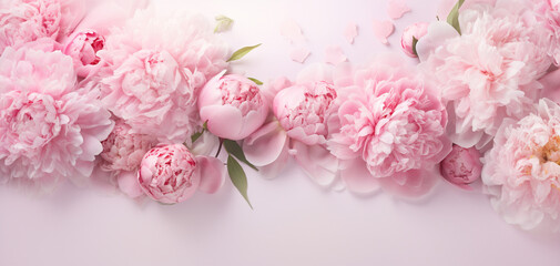 Pattern of pink peonies on light background. Banner with space for copy.
