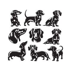 Dachshund Dazzle: Silhouettes of these Enchanting Dogs, Radiating Charm, Elegance, and a Hint of Mischievous Delight - Dachshund Illustration - Dachshund Vector - Dog Silhouette
