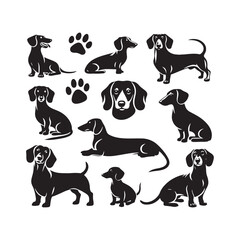 Pint-sized Perfection: Dachshund Silhouette Collection Celebrating the Endearing Small Stature and Big Personalities of Wiener Dogs - Dachshund Illustration - Dachshund Vector - Dog Silhouette
