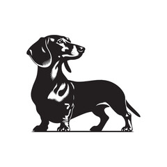 Dynamic Dachshund Dance: A Series of Energetic Dachshund Silhouettes Capturing the Playful Spirit of these Lively Dogs - Dachshund Illustration - Dachshund Vector - Dog Silhouette
