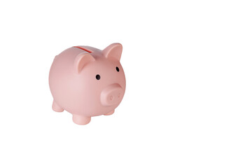Piggy bank pig on isolated white background close up