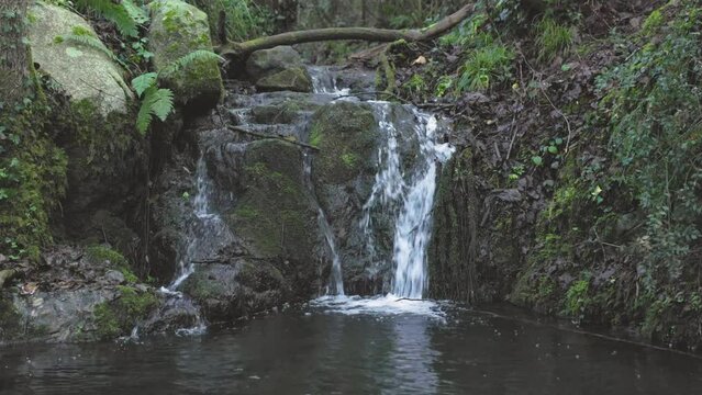 Arroyo con peque&ntilde;a cascada en el Parque Natural del Montseny