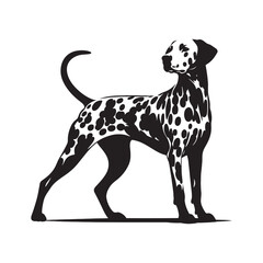 Dalmatian Silhouette Set: A Versatile Collection of Dog Profiles Perfect for Various Creative Projects - Dalmatian Illustration - Dalmatian Vector - Dog Silhouette
