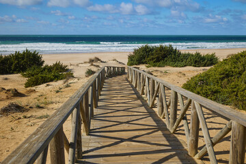 Fototapeta na wymiar Wooden path to the sea through sand dunes overgrown with bushes
