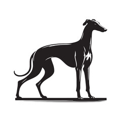 Obraz premium Dynamic Flow: Greyhound Silhouette Collection Capturing the Dynamic and Fluid Movements of Greyhounds - Greyhound Illustration - Greyhound Vector - Dog Silhouette 