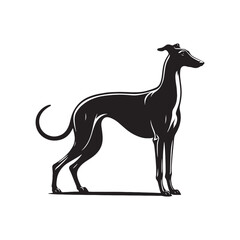 Speed and Elegance: Greyhound Silhouette Set Capturing the Swiftness and Poise of Greyhound Beauty - Greyhound Illustration - Greyhound Vector - Dog Silhouette
