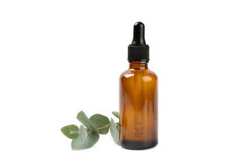 Eucalyptus essential oil in a glass bottle with green eucalyptus leaves isolated on white background. Aromatherapy. Spa. Concept of natural cosmetology and beauty industry.