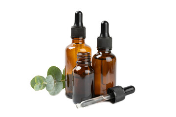 Eucalyptus essential oil in a glass bottle with green eucalyptus leaves isolated on white background. Aromatherapy. Spa. Concept of natural cosmetology and beauty industry.