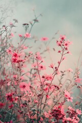 Pink Wildflowers Blooming Gentle Valentine's Day Card