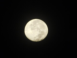 full moon potrait at night 
