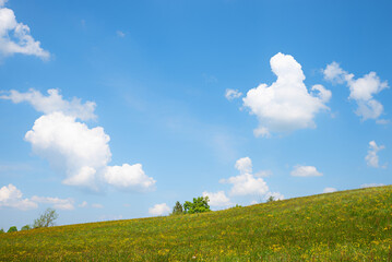 green hill with buttercups and blue sky with heart shaped cloud