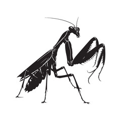 Graceful Guardian: Mantis Silhouette Series Showcasing the Enchanting Aura of Nature's Silent Warrior - Mantis Illustration - Mantis Vector - Grasshopper Vector
