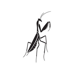 Stealthy Silhouettes: A Series of Mantis Shadows Exhibiting the Stealth and Poise of Nature's Green Predator - Mantis Illustration - Mantis Vector - Grasshopper Vector
