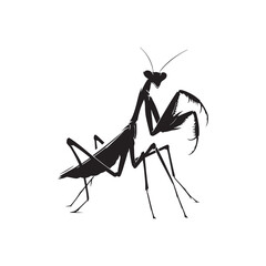Verdant Vigilance: Mantis Silhouette Series Illustrating the Vigilant Stance of Nature's Guardian in Green - Mantis Illustration - Mantis Vector - Grasshopper Vector

