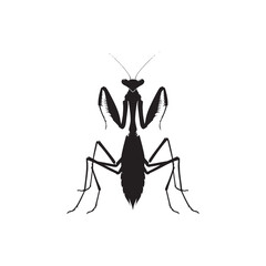 Mantis Medley: Silhouette Montage Featuring the Diverse Postures of Nature's Mysterious Mantis - Mantis Illustration - Mantis Vector - Grasshopper Vector

