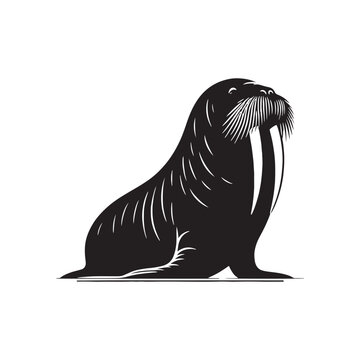 recommend clip art: Polar Pinnipeds: Walrus Silhouette Collection Celebrating the Polar Pinnipeds in Striking Shadows - Walrus Illustration - Walrus Vector
                    
