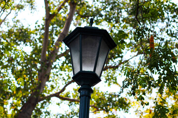 Vintage park street lamp post