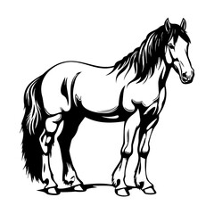 Obraz na płótnie Canvas Clydesdale horse icon illustration, Clydesdale horse silhouette logo svg vector