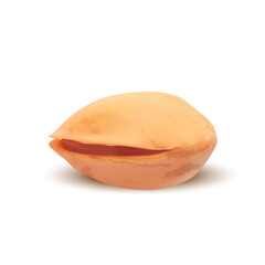 Realistic Detailed 3d Whole Pistachio Nutshell and Kernel Tasty Snack. Vector illustration of Ripe Pistachio Nut in Shell