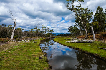 Marsh area on Maria Island, Tasmania, Australia