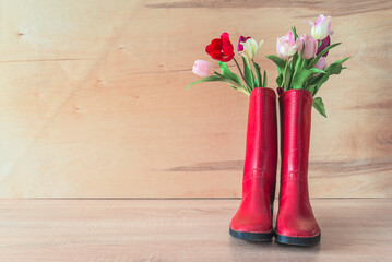 Spring gardening concept; Bouquet of pink and white tulips in red rubber boots on a wooden background